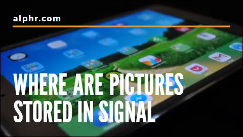 ¿Dónde se almacenan las imágenes en Signal?