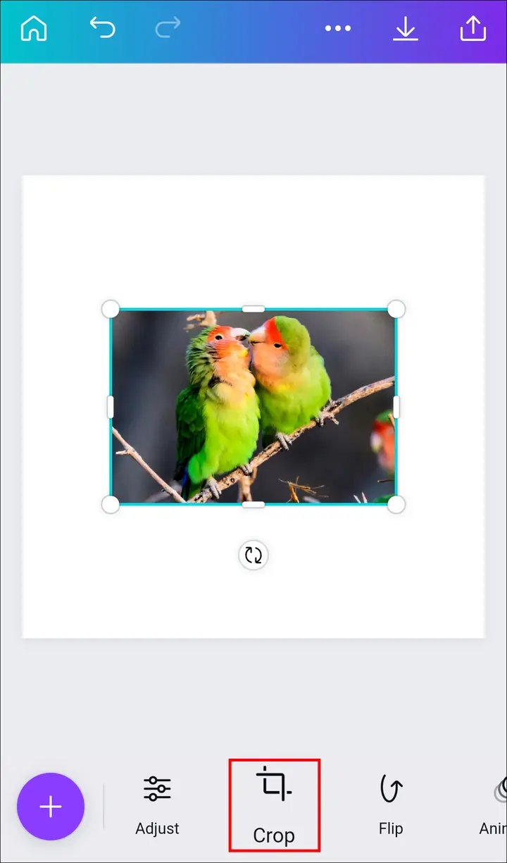 Como llenar una forma con una imagen en Canva en un Android 2