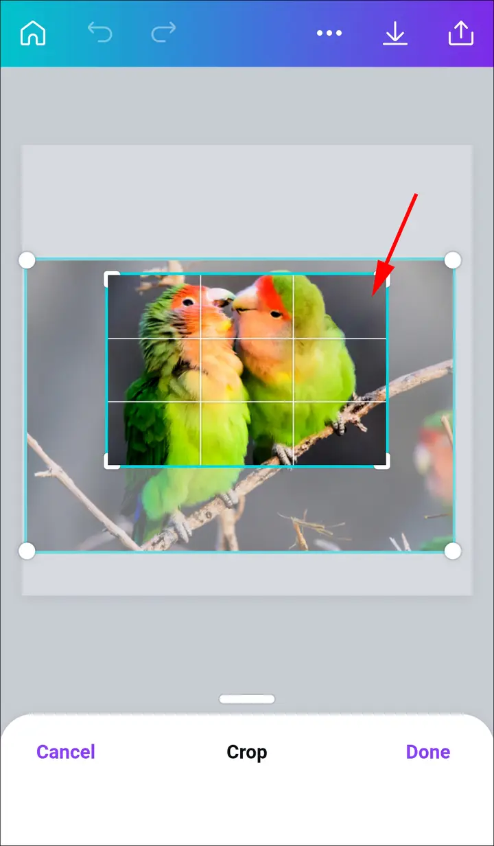 Como llenar una forma con una imagen en Canva en un Android 3