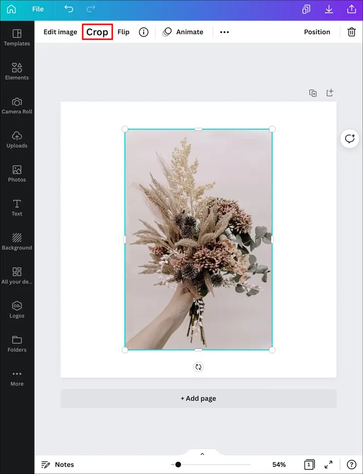 Como llenar una forma con una imagen en el lienzo en un iPad 1