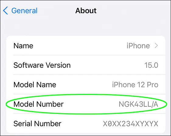 Configuracion iOS15 iPhone12 Pro General Sobre Crop