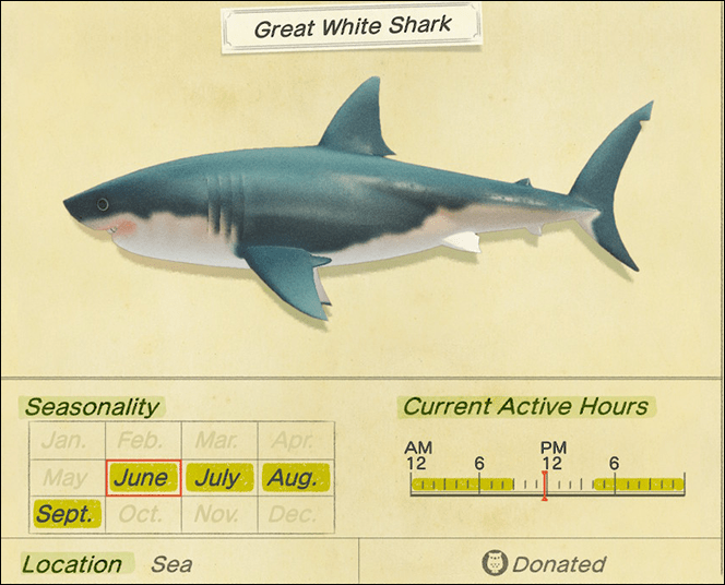 1651505353 103 Como atrapar un tiburon en Animal Crossing