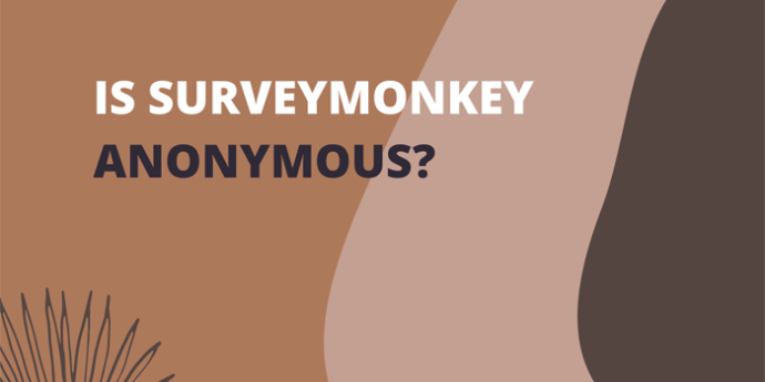 1671642904 961 ¿Las encuestas de SurveyMonkey son anonimas