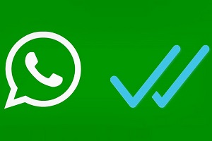 WhatsApp comprobar si alguien está en línea