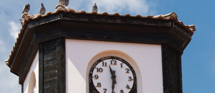 Bird-cerebros de Gran Bretaña: las palomas tienen una comprensión del espacio y el tiempo