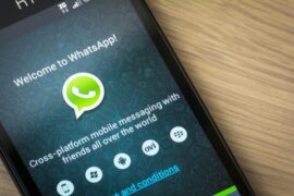 moleste a sus amigos con soporte gif en whatsapp 2