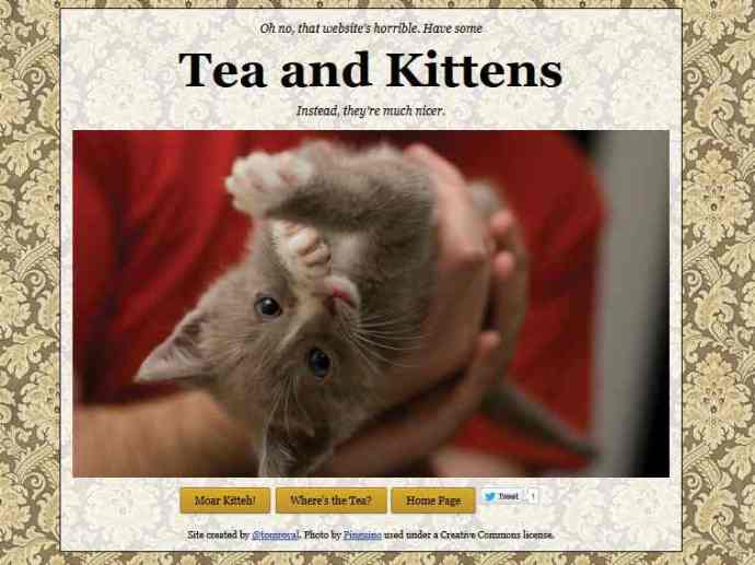 té y gatitos