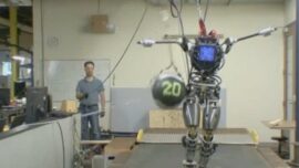 los ultimos robots asombrosos de boston dynamics no caeran facilmente 2
