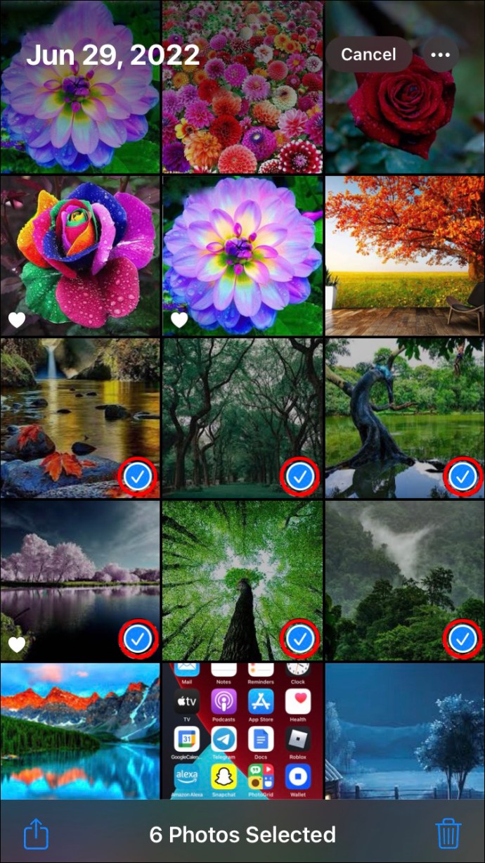 1684695621 73 Como eliminar fotos de forma permanente de un iPhone