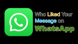 como saber a quien le gusto tu mensaje en whatsapp 2