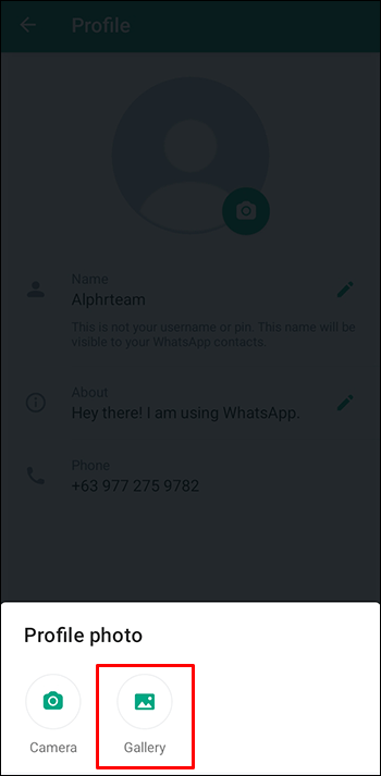 1689353115 656 Como arreglar una imagen de perfil de WhatsApp que no