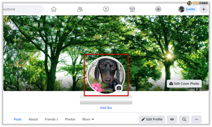1690252217 502 Como hacer una foto de perfil de Facebook temporal