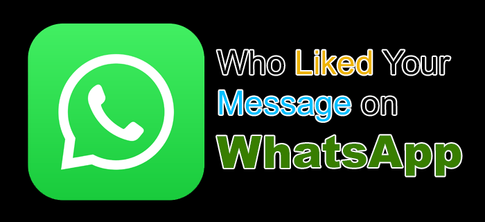 Cómo saber a quién le gustó tu mensaje en WhatsApp