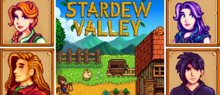 Una lista de aldeanos y personajes de Stardew Valley